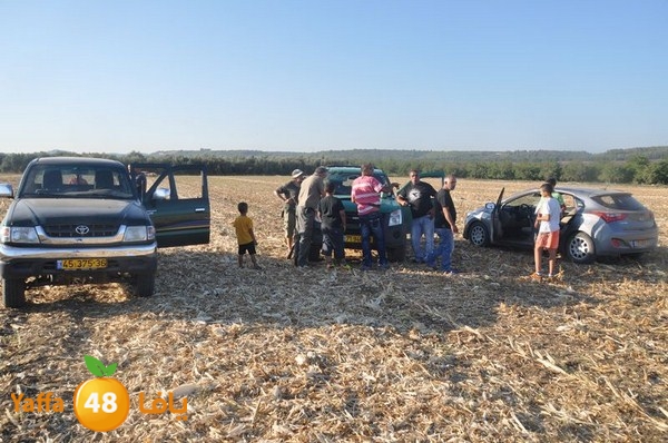 7amam lud monir 908 (73).JPG